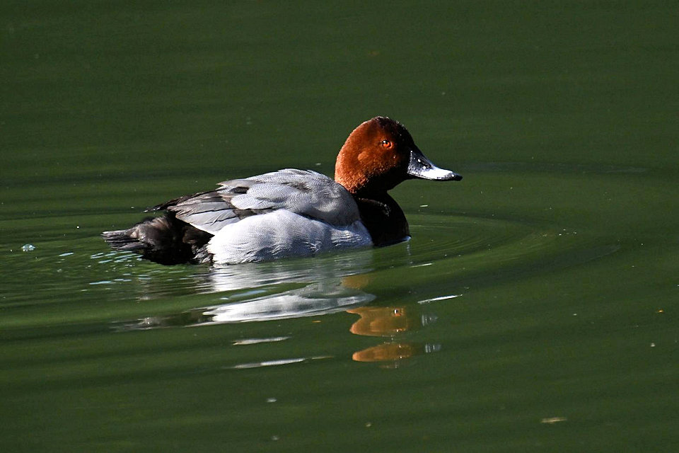 �z�V�n�W��